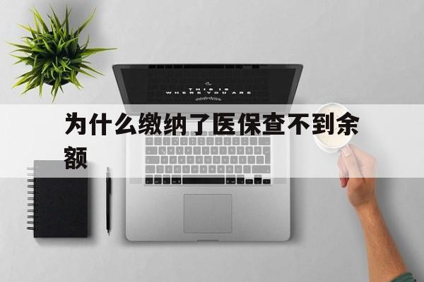 舟山最新为什么缴纳了医保查不到余额方法分析(最方便真实的舟山医保交了费怎么查不到方法)